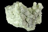 Green Prehnite Crystal Cluster - Morocco #80684-1